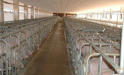 timg.jpg 畜牧類養(yǎng)殖案例